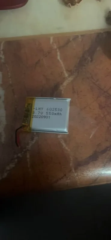 Batteria ai polimeri da 550 mA - Garmin Smartwatch Accessories recensione e prezzo